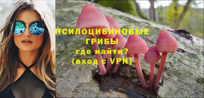 Псилоцибиновые грибы Psilocybine cubensis  цена   Покров 